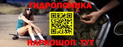 PSILOCYBIN Гусев