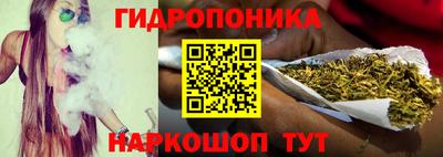 PSILOCYBIN Гусев
